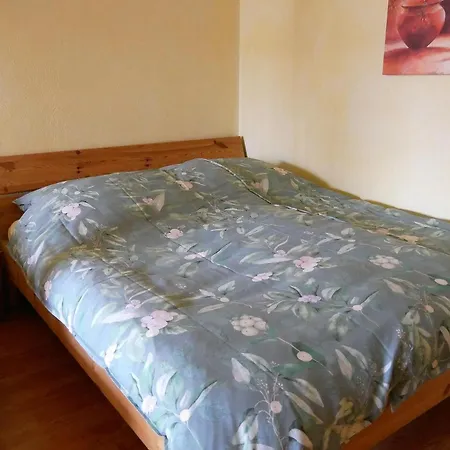 Lejlighed Luxus-wohnung Am Nationalpark Harz Fuer Aktivurlaub