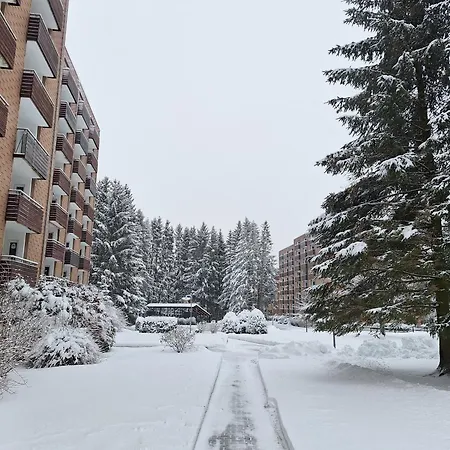 Luxus-wohnung Am Nationalpark Harz Fuer Aktivurlaub Altenau (Lower-Saxony)