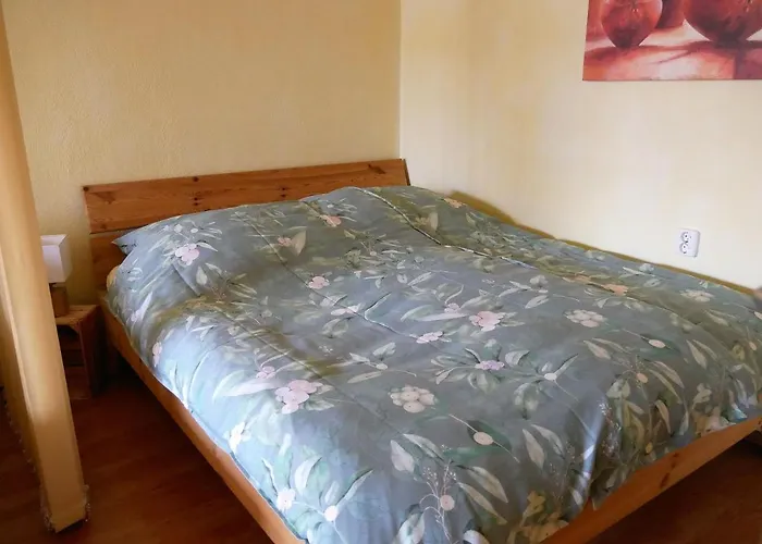 Daire Luxus-wohnung Am Nationalpark Harz Fuer Aktivurlaub