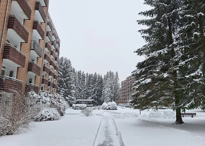 Luxus-wohnung Am Nationalpark Harz Fuer Aktivurlaub Altenau (Lower-Saxony)