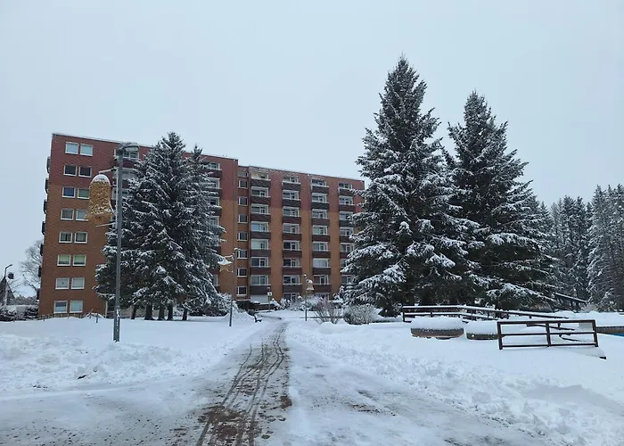 Luxus-wohnung Am Nationalpark Harz Fuer Aktivurlaub