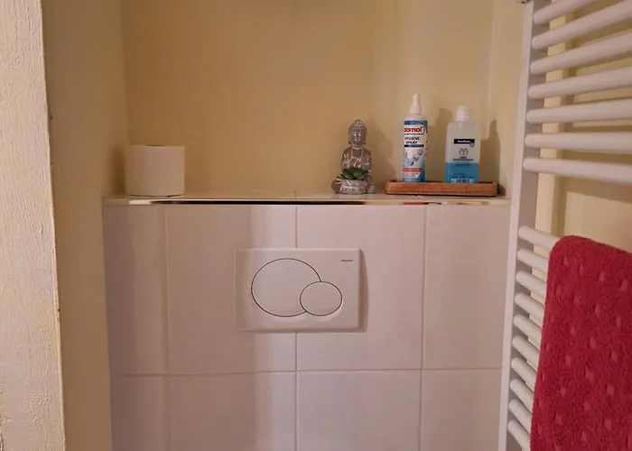 Luxus-wohnung Am Nationalpark Harz Fuer Aktivurlaub Daire